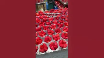 🍫🍓if chocolate covered strawberries are viral food than im a food blogger 🍓🍫 #tiktokfood #foodt