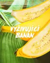 Питательный шампунь для сухих волос Fructis Hair Food (Banana Nourishing Shampoo) 350 мл