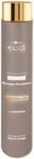 Hair Company Шампунь блеск Inimitable Style250 мл