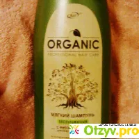 Шампунь Белита-Витэкс Professional Organic Hair Care - отзыв-0