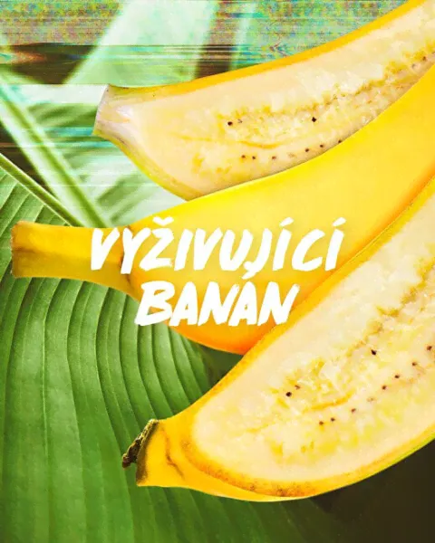 Питательный шампунь для сухих волос Fructis Hair Food (Banana Nourishing Shampoo) 350 мл-2