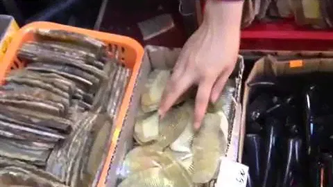 Ancient Way of Making Ox Horn Combs