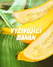 Питательный шампунь для сухих волос Fructis Hair Food (Banana Nourishing Shampoo) 350 мл