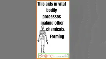 Msm Nutritional Supplements