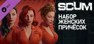 Купить SCUM Hair Deluxe 1 на PC для Steam дешево